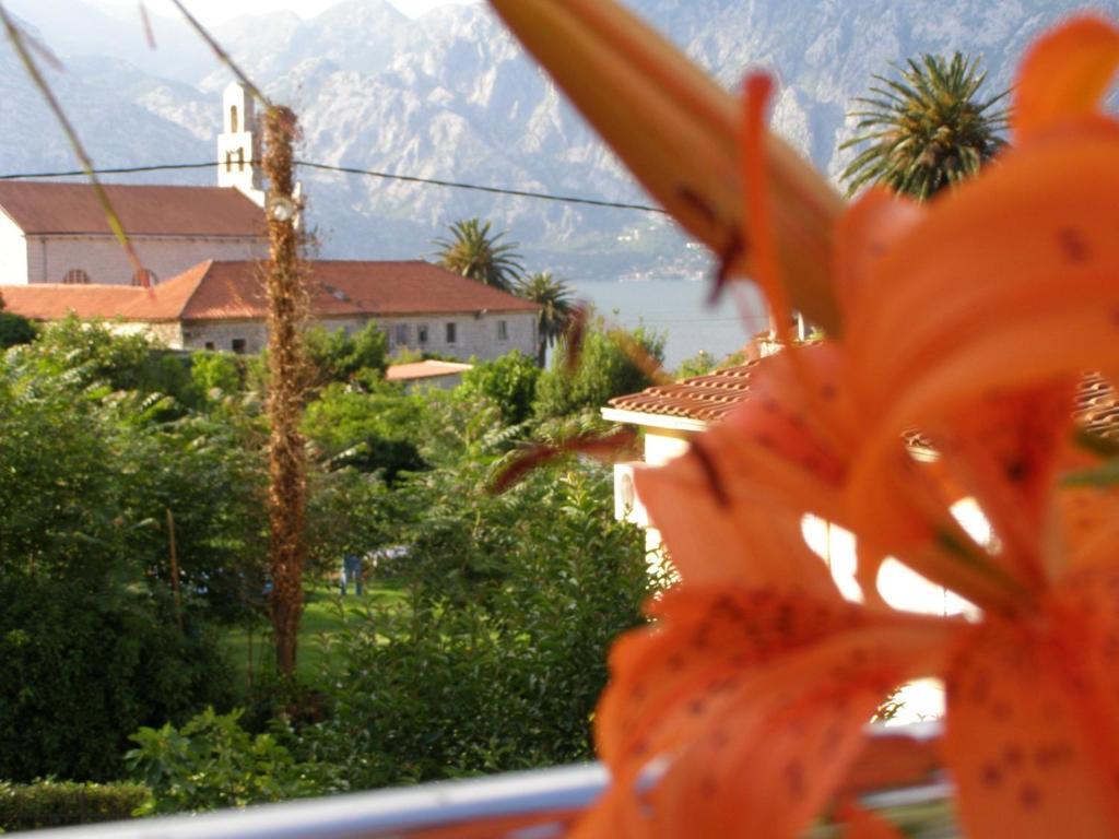 Djurovic Apartments Montenegro Kotor Quarto foto