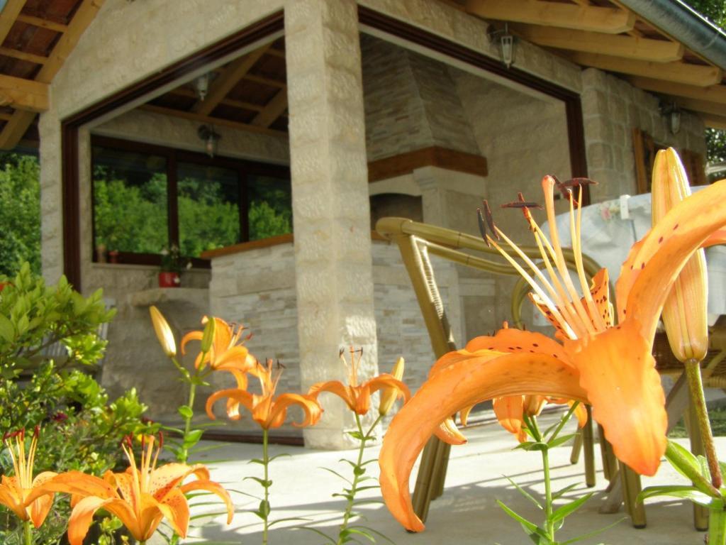 Djurovic Apartments Montenegro Kotor Quarto foto